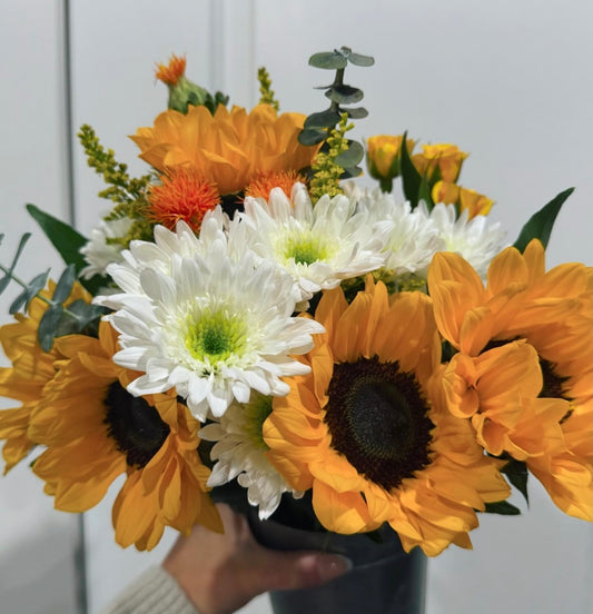 Sunflower Daze